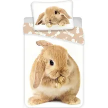 AC-Deco Hase Braun 140 x 200 cm + 70 x 90 cm