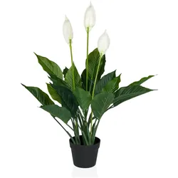 hjh OFFICE Kunstpflanze SPATHIPHYLLUM Kunststoff