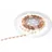 Eurolite LED Strip 300 5m Warmweiss