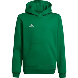 adidas Entrada 22 Green 164