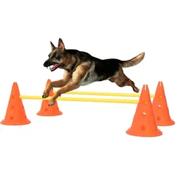 Agility Hundetraining Hindernis-Set Orange und Gelb