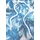 s.Oliver Badeshorts S.OLIVER Blau L