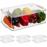 Relaxdays Kühlschrank Organizer, 4er Set, Kühlschrankeinsätze mit Deckel & Datum, HxBxT: 10,5 x 21 x 33 cm, transparent