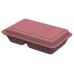 Lunchbox ToGo, medium, 2-geteilt, Wiederverwendbare und recycelbare Essensbox, 1 Stück, Farbe: rot