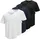 JACK & JONES JPRBLABRODY Tee mehrfarbig S