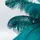 Kare Feather Palm Grün