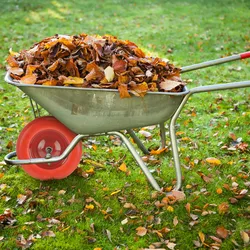 Relaxdays Schubkarrenrad 4.80 4.00-8, Vollgummirad mit Achse, bis 120 kg, pannensicheres Ersatzrad mit Stahlfelge, rot