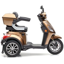 Econelo E-Trike J1000 25 km/h braun