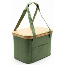 BigDean Picknicktasche 24 l Grün