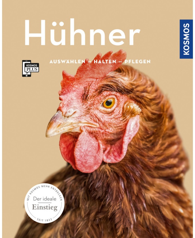 Mein Tier / Hühner - Anja Steinkamp, Kartoniert (TB)