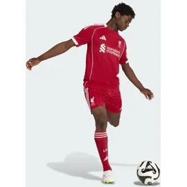 adidas FC Liverpool Heimshorts 2025/26 rot Herren Gr. M