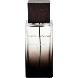 Pascal Morabito Black Granit Eau de Parfum 100 ml