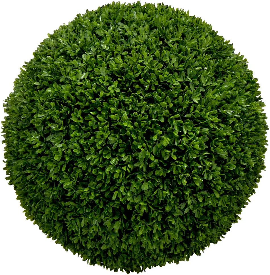 Buchs Kugel D45cm grün