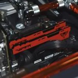 Patriot Memory Viper Elite II 32GB (1x32GB) 3200MHz Gaming Arbeitsspeicher