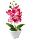 Thoughtful Idea Künstliche Orchidee im Topf für Weihnachten, Valentinstag und mehr (B)