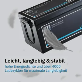 Ective LC 300L Versorgungsbatterie 12V 300 Ah 26,8 x 22,8 cm Schwarz