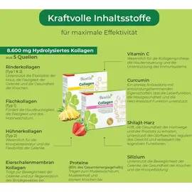 Biostile Collagen Komplett Beutel 30 St.