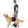 Trixie Hebehilfe Hundewindel Schwarz XL 85–95 cm