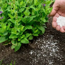 ogród start Kaliumdünger Gemüsedünger Rasendünger 2 kg
