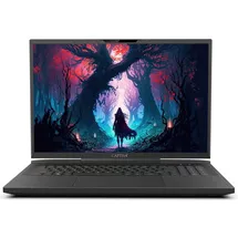 Captiva Highend Gaming I81-491 17,3" Core i9-14900HX 64 GB RAM 1 TB SSD RTX 4070