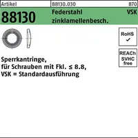 Reyher Sperrkantring R 88130 VSK 10x18,1x1,8 Federstahl zinklamellenb. 500St.