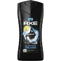 Axe Duschgel Alaska 3-in-1 250ml