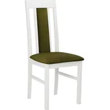 MIRJAN24 Stuhl Nilo II (1 Stück), aus Buchenholz, 43x48x96 cm grün
