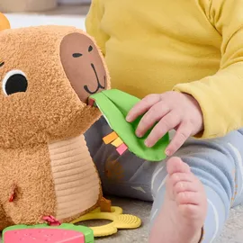 Fisher-Price Kuschel-Capybara