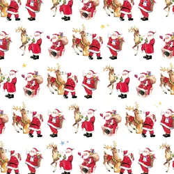 Clairefontaine Geschenkpapierrolle Alliance 60g 50x0,70m, Santa - Weiß 211924C