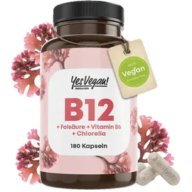 yes vegan Vitamin B12 hochdosiert Kapseln 180 St.