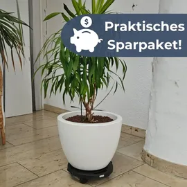 GarPet 2er Set Transportroller Rollbrett Transportrollen Rollbrett Werkstatt Pflanzen Rollbretter Transport Möbelrollen flach Pflanzenroller rund Transporthilfe