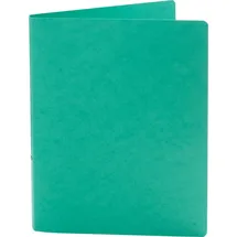 Brunnen Ringbuch FACT!plus grün