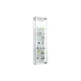VCM Wandvitrine Stano Maxi 33 x 18 x 115 cm Weiß
