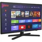 SELFSAT SMART LED TV 1222 (55 cm/22") inkl. DVB-S2/C/T2 HD Tuner mit WLAN und Bl