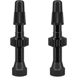 WTB Aluminium TCS Ventile Presta 46 mm schwarz