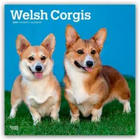 Browntrout Verlags GmbH Welsh Corgis - Welsh Corgi 2026