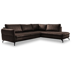 Exxpo by Gala Ecksofa Maestro Mikrofaser Dark Brown