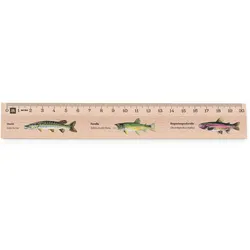 Metrie, Didakt-M02 Holzlineal, bedrucktes Raubfische, 20 cm