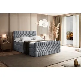 altdecor Boxspringbett SERENE-Z KING - 160 x 200 - H3/H4 - Hellgrau