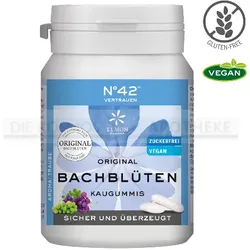 ENERGIE KAUGUMMI nach Dr.Bach 40 St