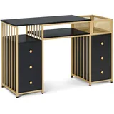 MCombo M MCombo Schreibtisch mit 6 Schubladen, Nageltisch aus Holz Metallgestell, Manikürtisch Schminktisch ohne Spiegel Modern, Computertisch mit Ablagen Wohnzimmer, 46x125x81cm, 2425