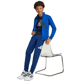 adidas Essentials Climacool Trainingsanzug Blau 152