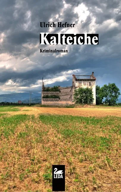 Kalteiche - Ulrich Hefner  Kartoniert (TB)