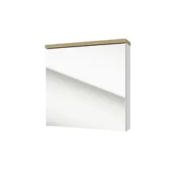 Spiegelschrank   ¦ mehrfarbig ¦ Maße (cm): B: 60 H: 60 T: 15.0