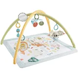 Fisher-Price Simply Senses Newborn Gym