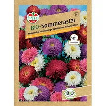 Sperli Bio Sommeraster Mischung Callistephus chinensis
