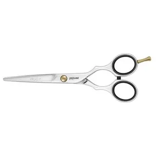 Jaguar Haarschere PRE STYLE ergo P 6.0" | Friseurschere im Classic-Design | poliert | Made in Germany