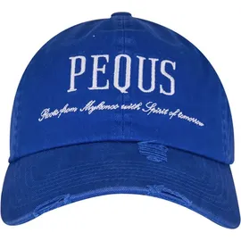 pequs Destroyed Logo Cap blau ONE SIZE