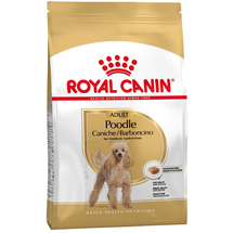 Royal Canin Poodle Adult 1,5 kg