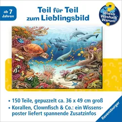 Wieso? Weshalb? Warum? Meerestiere am Korallenriff